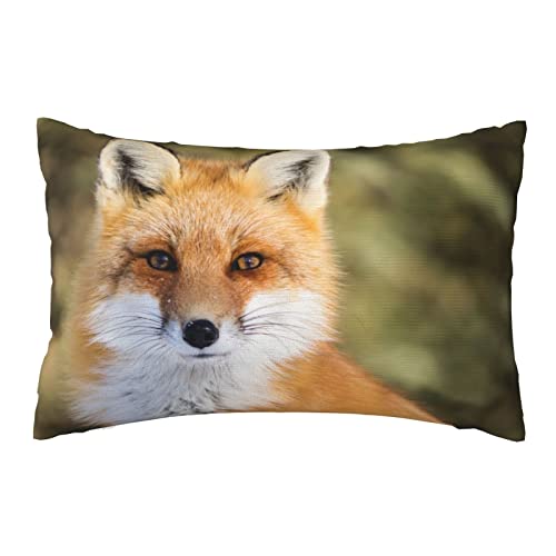 Kissenbezug Hübscher Weißer Orangefarbener Fuchs Im Natürlichen Design des Wilden Tieres Kissenhülle Premium Kopfkissenbezug Weiche Kissen Bezug Für Couch ​Bank Schlafzimmer Zuhause 40x60 cm von xujianhuaxuyoubinbaihuodian