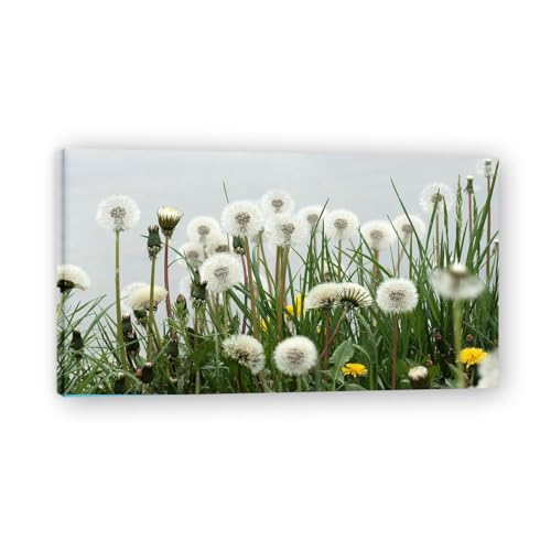 WeißE Pusteblume Modernes Bild Wandkunst Dekoration Blumen Mit NatüRlicher Landschaft Als Hintergrund Bilder Kunstwerk NaturpflanzengemäLde Druck Wandkunst FüR Die Wohnzimmerdekoration 110x60cm WeißE Pusteblume Modernes Bild Wandkunst Dekoration Blumen Mit NatüRlicher Landschaft Als Hintergrund Bilder Kunstwerk NaturpflanzengemäLde Druck Wandkunst FüR Die Wohnzimmerdekoration 110x60cm von xukgmsg