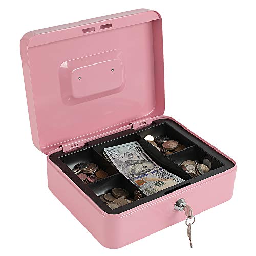 Xydled Große Geldkassette aus Stahl mit herausnehmbarem Münzfach und Schlüsselschloss, 25 x 20 x 9 cm von xydled