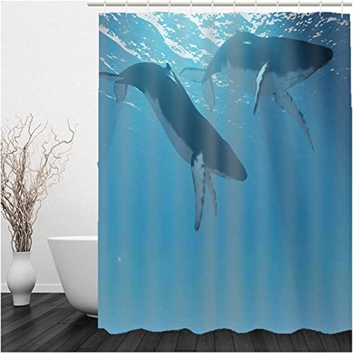 Duschvorhang 180x180 Tier Duschvorhang Wal Badezimmer Vorhang Blau Antischimmel Wasserdicht Badezimmer Vorhang 3D Effekt Duschvorhänge Polyester Waschbar mit Haken von xzxzdx