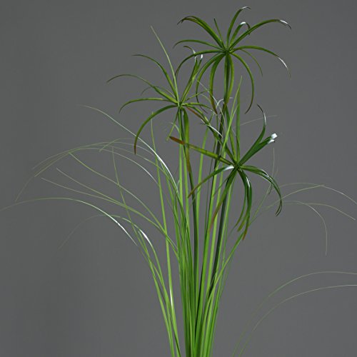 Papyrus-Zweig grün 117 cm Kunstpflanze von DPI von DPI