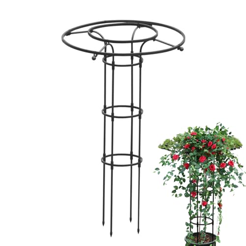 yakermur Garten Rankgitter Für Kletterpflanzen | Vertikale Metall-Blumenstütze | Metall Rankhilfe Mit Säulenform Für Blumen, Zimmerpflanzen & Rankgewächse yakermur Garten Rankgitter Für Kletterpflanzen | Vertikale Metall-Blumenstütze | Metall Rankhilfe Mit Säulenform Für Blumen, Zimmerpflanzen & Rankgewächse von yakermur
