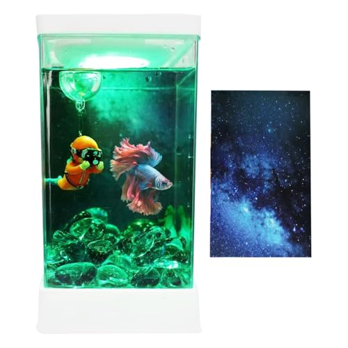 yakermur Kleines Aquarium | Kampffisch Aquarium Mit Beleuchtung Und Filter Für Schreibtisch - Kleine Tischdekoration Für Arbeitszimmer Büro Wohnung Homeoffice von yakermur