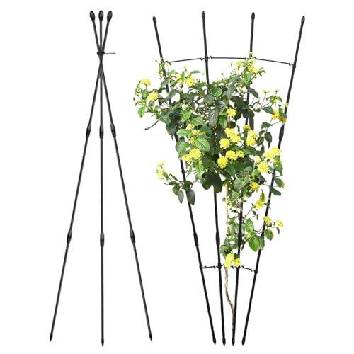 yakermur Rankgitter Für Kletterpflanzen - 2er Set Gemüsepflanzen Stützen - Hochwertige Wiederverwendbare Kletterhilfe Für Balkon Garten Gewächshaus Weinberg Terrasse Gartenbereich yakermur Rankgitter Für Kletterpflanzen - 2er Set Gemüsepflanzen Stützen - Hochwertige Wiederverwendbare Kletterhilfe Für Balkon Garten Gewächshaus Weinberg Terrasse Gartenbereich von yakermur