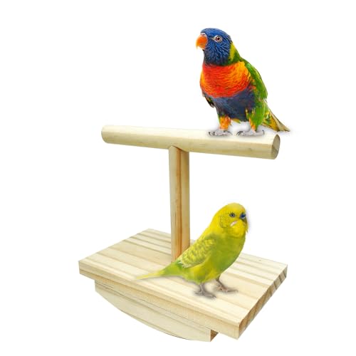 yakermur Vogelsitzstange - Holzsitzstange Für Ziervögel | Trainingsstation mit Schaukelfunktion & Ruheplatz für interaktives Stehen an, Schreibtisch oder im Freien von yakermur