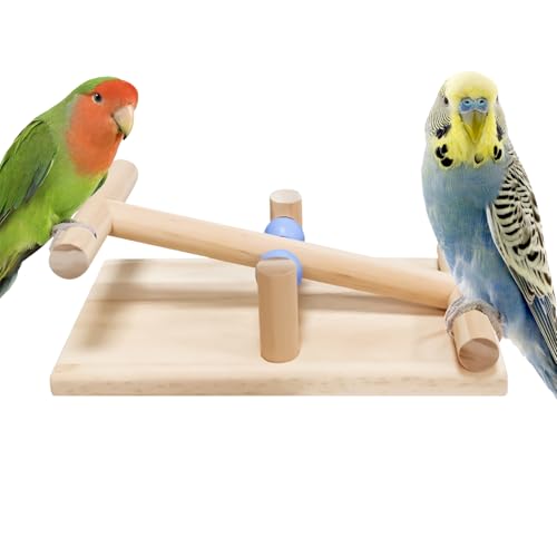 yakermur Vogelspielzeug Für Papageien | Vogeltrainingswippe Aus Holz | Tisch Balance Spielzeug für Nymphensittiche und Sittiche, Interaktives Trainingswerkzeug für von yakermur