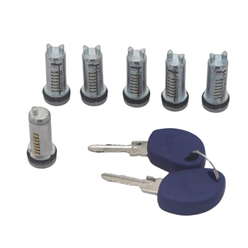 Fit for IVECO DAILY 2000-2012 2996076 2996075 2992551 2991727 TÜRSCHLOSS BARREL(Blue Keys) von yangwu99