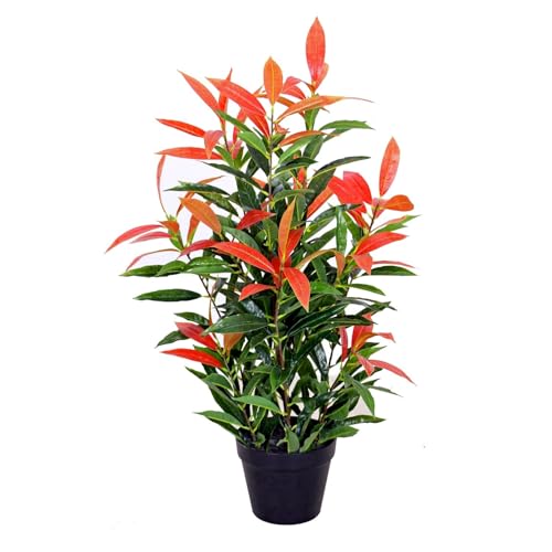 Künstliche Glanzmispel PHOTINIA ca. 80 cm hoch Kunstpflanzen künstliche Pflanzen JWS2641 von yanka-style