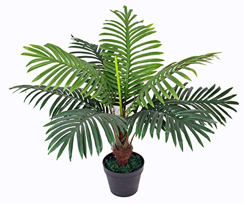 Künstliche Palme mit Topf ca. 60 cm hoch Kunstpflanze künstliche Pflanze Kunstbaum Kunstpalme Baum Bäumchen Blume Kunstblume Deko Dekoration Geschenk (JWP231) von yanka-style