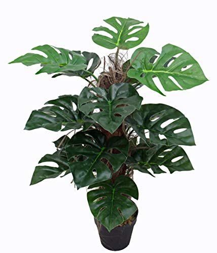 yanka-style Künstliche Monstera mit Topf ca. 60 cm hoch Kunstpflanze künstliche Pflanze Kunstbaum Baum Bäumchen Blume Deko Dekoration Geschenk (JWSL049) von yanka-style