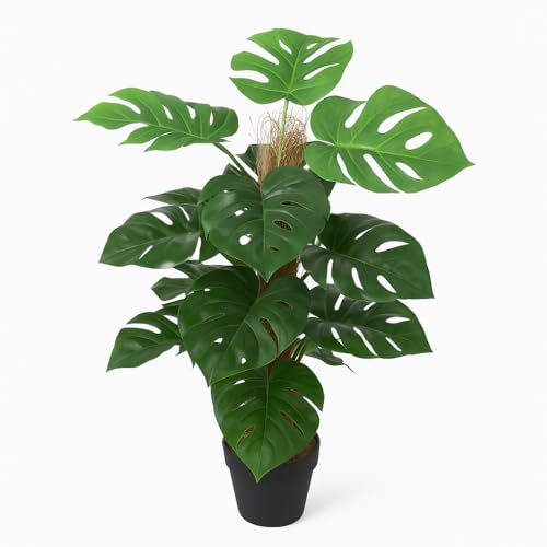 Künstliche Monstera mit Topf ca. 60 cm hoch Kunstpflanzen künstliche Pflanze Kunstblumen wie echt JWSL049 von yanka-style