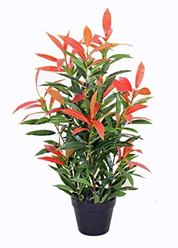 yanka-style PHOTINIA Kunstpflanze mit Topf ca. 80cm hoch Kunstbaum Kunstbaum Kunstbaum Deko Geschenk JWS2641 von yanka-style