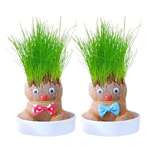 yanzisura 2 Stück Graskopf Wachsende Graskopf Puppenpflanze Graskopfe Haarwuchs Spielzeug Mit Tablett Graskopfpuppe Bonsai Gras Kopf Figure Puppen Für Schlafzimmer von yanzisura