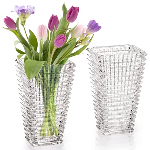 Yarlung Kristallglasvase, 22,9 cm, große Blumenvasen für Tischaufsätze, robuste, transparente Blumenstraußvasen für Heimdekoration, Wohnzimmer, Hochzeit, 2 Stück von yarlung