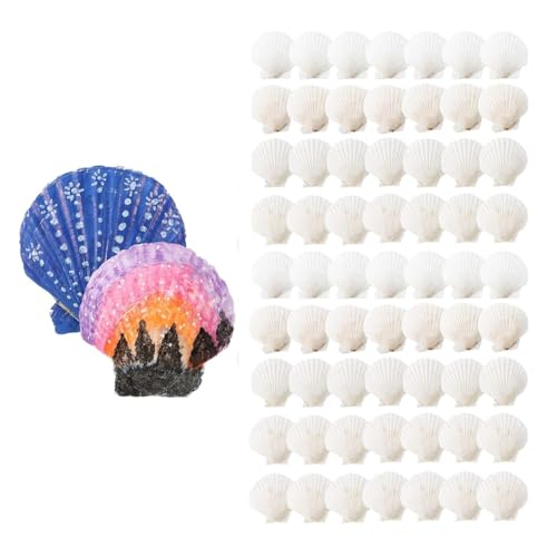 yasoe 100 Stück Meeresmuscheln zum Basteln, Große Natürliche Jakobsmuscheln, Weiße Austernschalen, Großpackung zum Dekorieren, Heimwerken, Strand von yasoe