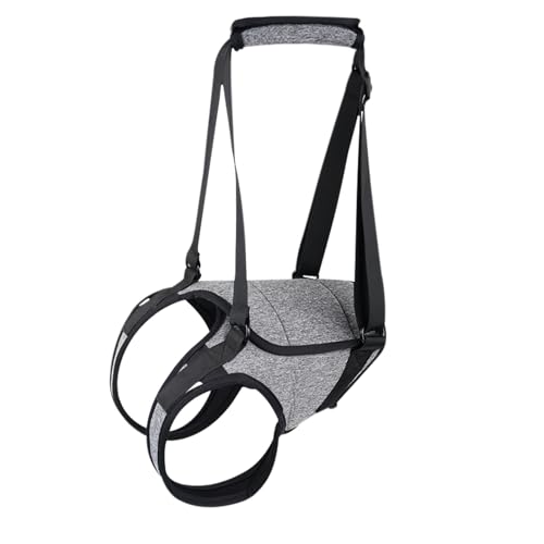 Hunde Unterstützungsgeschirr – Tragbare Erholungsschlinge Für Ältere Haustiere, Hinterbein Hebehilfe, Bequem Gepolstert Mit Sicheren Schnallen | Rehabilitation Unterstützung von ycezw