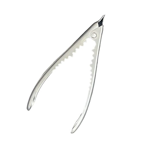 ycezw Edelstahl Meeresfrüchte Cracker, Crab Leg Cracker Werkzeuge - Muschelöffner Werkzeuge Küchengeräte,Küchenkrabbenöffner, Schale Öffnung Gadget mit Feder für, Meeresfrüchte, Muscheln ycezw Edelstahl Meeresfrüchte Cracker, Crab Leg Cracker Werkzeuge - Muschelöffner Werkzeuge Küchengeräte,Küchenkrabbenöffner, Schale Öffnung Gadget mit Feder für, Meeresfrüchte, Muscheln von ycezw