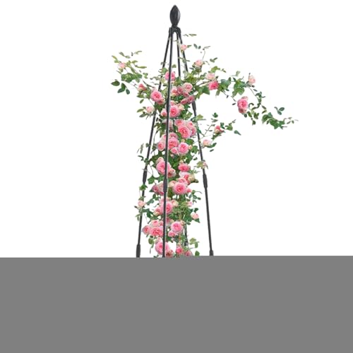 ycezw Kletterständer Für Kletterpflanzen - Metallstützen Für Pflanzen - Haltbarer Edelstahlstand Für Balkon Und Patio Gurken Rosen Und Blumen ycezw Kletterständer Für Kletterpflanzen - Metallstützen Für Pflanzen - Haltbarer Edelstahlstand Für Balkon Und Patio Gurken Rosen Und Blumen von ycezw
