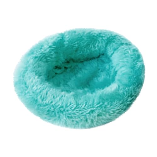 ycezw Kokosnuss Hamster Unterschlupf – Holz Hängematte Tiernest, Kleintierhöhle | Atmungsaktive Kokosnussschale Mit Kissen, Bequemes Schlafhaus Für Hamsters ycezw Kokosnuss Hamster Unterschlupf – Holz Hängematte Tiernest, Kleintierhöhle | Atmungsaktive Kokosnussschale Mit Kissen, Bequemes Schlafhaus Für Hamsters von ycezw