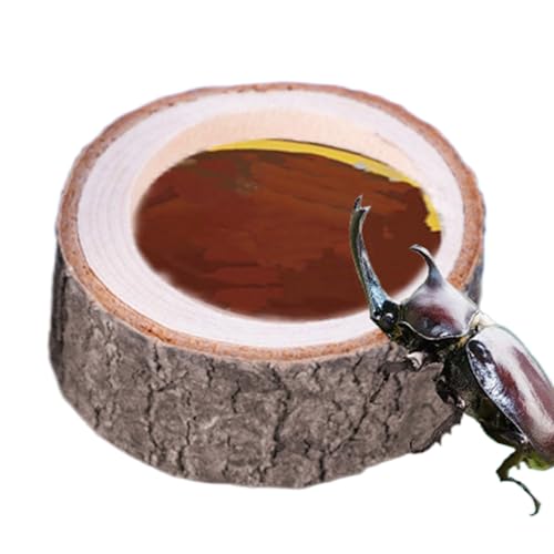 ycezw Schildkröte Wasser Schüssel,Reptil Wasser Schüssel - Holz inspiriert Zum Wasserbasis Für Aquarium Terrarium Aus Teich Eidechsen von ycezw