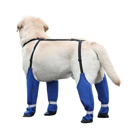 ycezw Schneeschuhe für Hunde, Leggings für Stiefel mit Hundepfoten, wasserdichte Regenstiefel für große Hunde, mit Riemen, rutschfeste Regenstiefel für Haustiere, bequem für ycezw Schneeschuhe für Hunde, Leggings für Stiefel mit Hundepfoten, wasserdichte Regenstiefel für große Hunde, mit Riemen, rutschfeste Regenstiefel für Haustiere, bequem für von ycezw