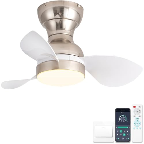 ycwdcz Ø56cm Mini Deckenventilator mit Lampe und Fernbedienung, kleine Deckenventilator mit Beleuchtung, Reversibel Sommer Winterbetrieb 6 Gang Leise DC Motor, Silber + Weiß von ycwdcz