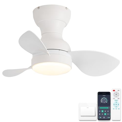 ycwdcz Ø56cm Mini Deckenventilator mit Lampe und Fernbedienung, kleine Deckenventilator mit Beleuchtung, Reversibel Sommer Winterbetrieb 6 Gang Leise DC Motor, Weiß von ycwdcz