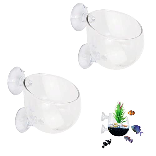 Aquarium Pflanzenhalter mit Saugnapf, Wasserpflanzen Topf Glas für Aquarium Aquascaping Aquatic, Fish Tank Aquarium-Landschaft Dekorationen Topf für Aquarium, Innenbereich, 6cm von yeemeen