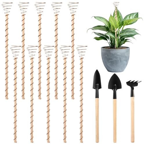 10 Stück 99,9% reines Kupfer Gartenpfähle, 11,8 Elektrokultur-Antennen mit 3 Gartengeräten für den Innen- und Außenbereich von yeeplant