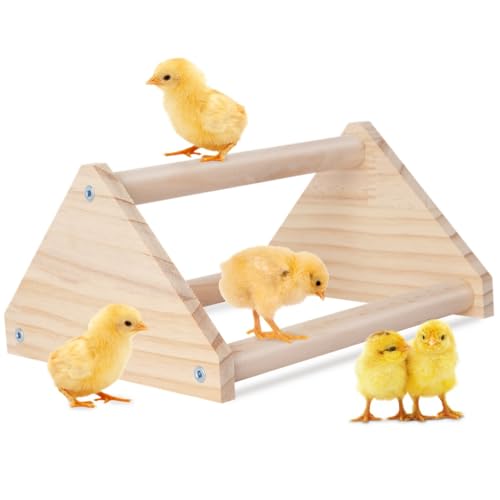 Hühner-Wurzelstange aus Holz, Kükenständer, Trainingsstange aus Holz für Stall und Bruder, Unterhaltung, Dschungel-Fitnessstudio für Küken, 20 x 17 x 10 cm Hühner-Wurzelstange aus Holz, Kükenständer, Trainingsstange aus Holz für Stall und Bruder, Unterhaltung, Dschungel-Fitnessstudio für Küken, 20 x 17 x 10 cm von yeeplant