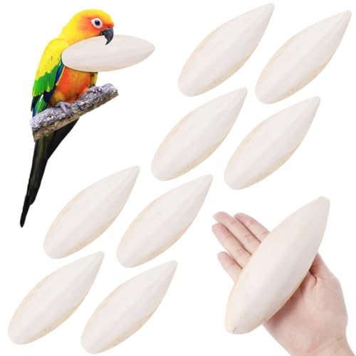 yeeplant 8 Cuttlebone Spielzeug für Vögel, mit Calcium angereicherte Kauknochen für Sittiche, Nymphensittiche, Schildkröten, Reptilien yeeplant 8 Cuttlebone Spielzeug für Vögel, mit Calcium angereicherte Kauknochen für Sittiche, Nymphensittiche, Schildkröten, Reptilien von yeeplant