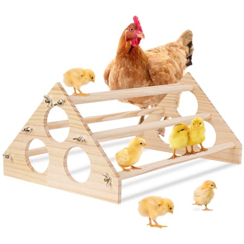 yeeplant Chick Jungle Gym Holz-Sitzstange, Ständer für Stall und Brutgerät, Hühnerspielzeug mit 6 Schienen, 41 x 27 x 18 cm yeeplant Chick Jungle Gym Holz-Sitzstange, Ständer für Stall und Brutgerät, Hühnerspielzeug mit 6 Schienen, 41 x 27 x 18 cm von yeeplant