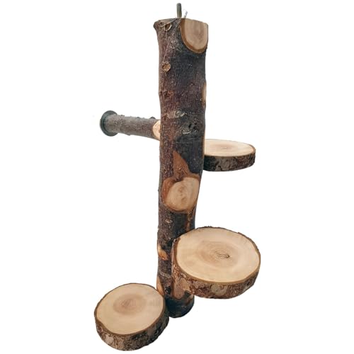 yeeplant Haustier-Spielzeugständer, 3 Holzplattformen, vertikales Design, Chinchilla-drehbare Sprungplattform, kleine Haustiere wie fliegende Eichhörnchen, Eichhörnchen und Chinchillas, tierliebend yeeplant Haustier-Spielzeugständer, 3 Holzplattformen, vertikales Design, Chinchilla-drehbare Sprungplattform, kleine Haustiere wie fliegende Eichhörnchen, Eichhörnchen und Chinchillas, tierliebend von yeeplant