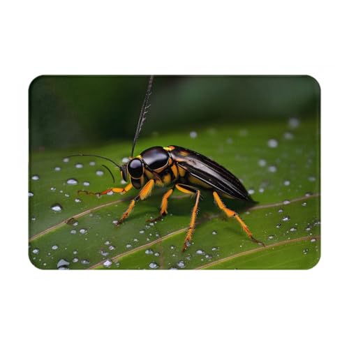 yefan Fußmatte Insekten auf Blättern, saugfähige und rutschfeste Willkommensmatte, 60 x 40 cm, für Foyer, Eingang, Schlafzimmer von yefan