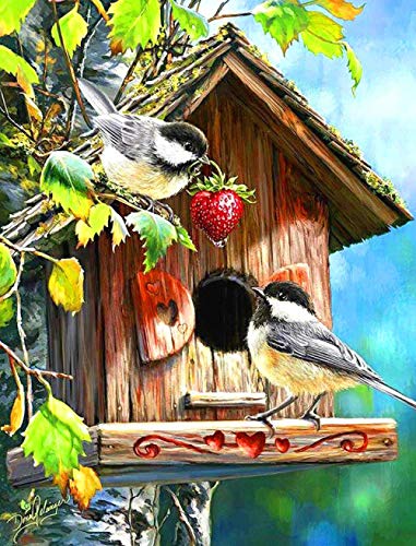 ygghj Stickbilder Kreuzstich,Stickpackung Stickbild Stickvorlage Sticken Stickset Tiervogel 40X50Cm Neujahrs Home Decor Kreativität Geschenke 11Ct (Vorgedruckte Leinwand) von ygghj