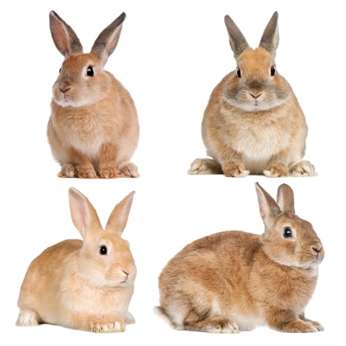 Fensterbild Frühling Ostern 4 Kaninchen Hasen I beidseitig selbsthaftend wiederverwendbar I dv1406 von younikat