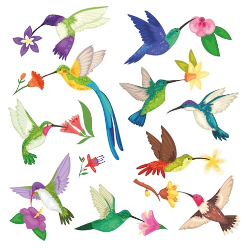 20er Set Fensterbild Kolibri mit Blumen I Vögel beidseitig bunt I Fenster-Aufkleber statisch haftend I selbstklebend wiederablösbar I dv861 von younikat