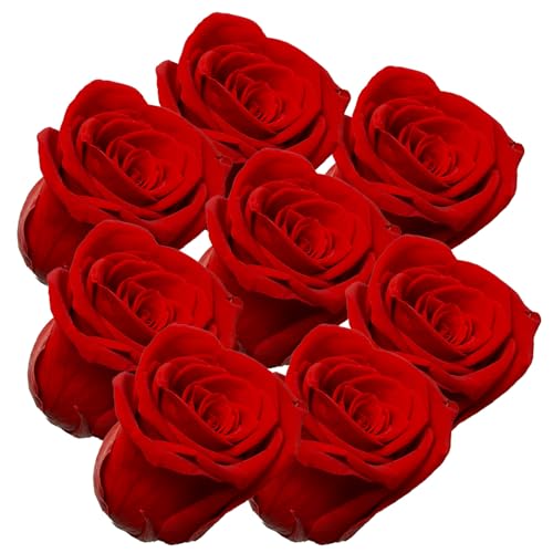 your castle Infinity Rosen | Ewige Rose | 8 Stück gefriergetrocknete Rosen in Rot | Konservierte echte Blumen, die nie verwelken | Deko | Tischdeko your castle Infinity Rosen | Ewige Rose | 8 Stück gefriergetrocknete Rosen in Rot | Konservierte echte Blumen, die nie verwelken | Deko | Tischdeko von your castle
