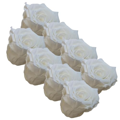 your castle Infinity Rosen | Ewige Rose | 8 Stück gefriergetrocknete Rosen in Weiß | Konservierte echte Blumen, die nie verwelken | Deko | Tischdeko your castle Infinity Rosen | Ewige Rose | 8 Stück gefriergetrocknete Rosen in Weiß | Konservierte echte Blumen, die nie verwelken | Deko | Tischdeko von your castle