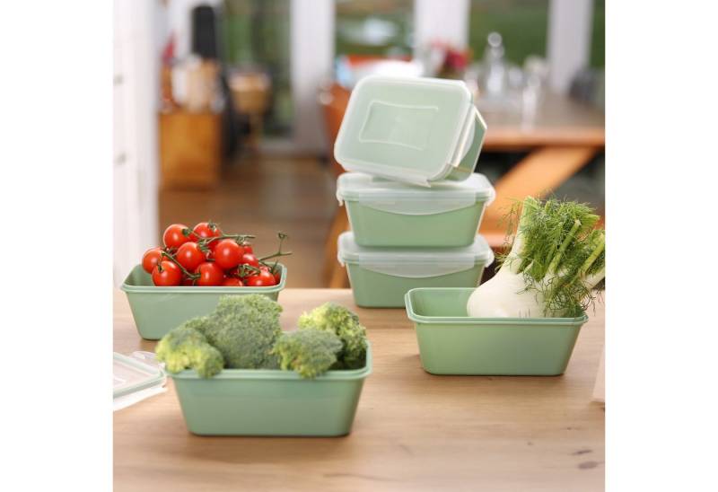 yourGEAR Frischhaltedose your GEAR Pila Set - 6 Frischhaltedosen mit Deckel à 700 ml yourGEAR Frischhaltedose your GEAR Pila Set - 6 Frischhaltedosen mit Deckel à 700 ml von yourGEAR