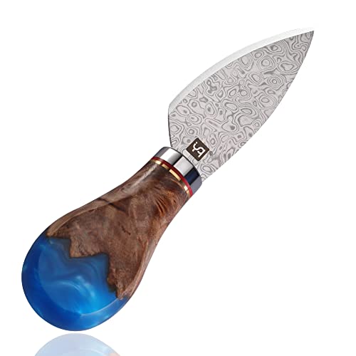 yq Upgrade Damaszener Stahl Käsemesser,Heart Cheese Knife Parmesanmesser Käseschneider für weichen Hartkäse,Blaues Harz und Schatten Holzgriff,Geschenkbox(blau Herzmesser) von yq