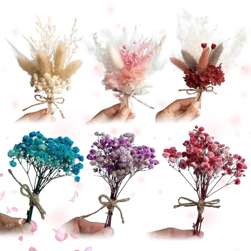 ysister Bündel Mini Trockenblumen Pack of 6 Trockenblumen Zum Basteln Dried Flowers Trockenblume Dried Flowers for Crafts for Picture Frames, DIY Home Party and Wedding Decoration von ysister