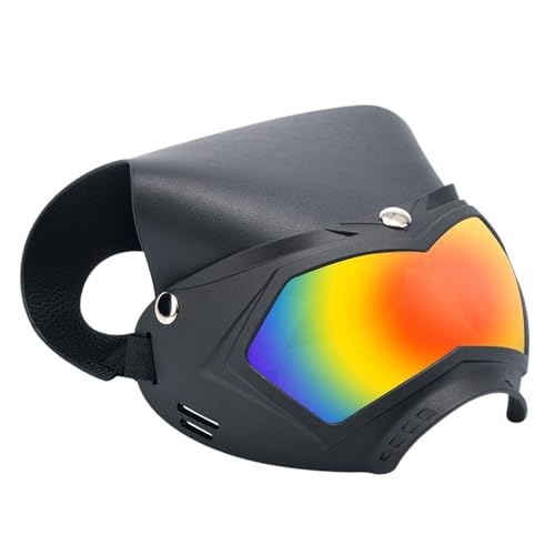 yupeuooe Hundebrille – UV-Schutzhut Katzenbrille | Stoßfester Hundehelm mit verstellbarem Riemen, abnehmbares Haustierzubehör für Outdoor, Camping, Sommerfestivals yupeuooe Hundebrille – UV-Schutzhut Katzenbrille | Stoßfester Hundehelm mit verstellbarem Riemen, abnehmbares Haustierzubehör für Outdoor, Camping, Sommerfestivals von yupeuooe