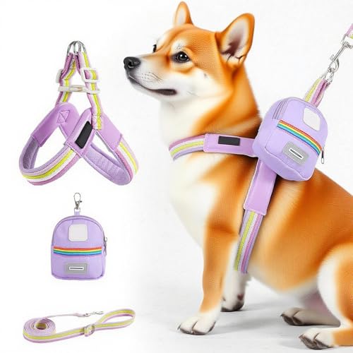 yybng Hundegeschirr Gurt - Verstellbares Geschirr Für Kleine Hunde - Sicherheitsausrüstung Tierzubehör Mit Tasche Für Stadt Park Camping Wandern von yybng