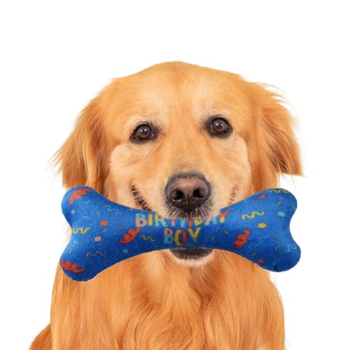 yybng Hundetücher Für,Dreieckige Geburtstagshalsbänder Für Hunde Mit Knochenmuster Spielzeug Für Haustiere | Weiches Dreieckstuch Für Welpen Aktivitäten Im Frühling Hundezubehör Mit Klettverschluss yybng Hundetücher Für,Dreieckige Geburtstagshalsbänder Für Hunde Mit Knochenmuster Spielzeug Für Haustiere | Weiches Dreieckstuch Für Welpen Aktivitäten Im Frühling Hundezubehör Mit Klettverschluss von yybng