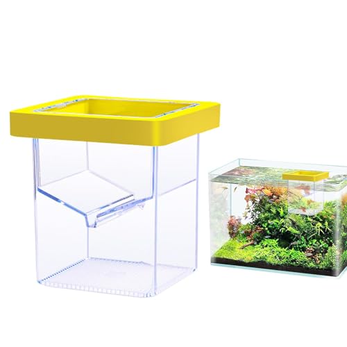 Box für Fischzüchter – Aquarium-Reproduktionsbox für Fische, transparente Teilerbox für Fischtanks | Schutz von Pommes Frites mit Fisch, Fischbrüterbox, von yztju