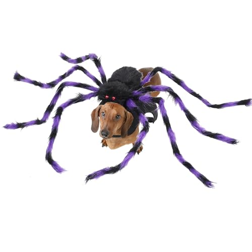 Halloween -Haustierkostüm - Riesenpelzspinnen -Cosplay für Hunde und Katzen, einstellbares Outfit | Scary Pet Dress-up-Accessoire für Party, Spaziergang im Freien, Fotosessitzung, Trick oder von yztju