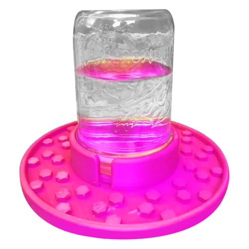 Hive Jar Bee Feeder - masons Feeding Cups, Garteneingangsbehälter | Langlebiger Zuckerwasserhalter, Praktisches Honigsirupgerät Für Bienenzuchtbetriebe, Biene -Setup Im Freien, Bienenkolonieversorgung von yztju