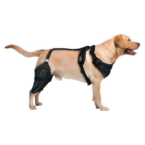 Hunde- -Bandage, Hinterbeinbandage, Oberschenkelschutz, Bandage, Hunde-Ellenbogenschutz, postoperative Hilfsbeinbandage mit Metallstütze, Hundebein-Wundschutz für Hundebeine Hunde- -Bandage, Hinterbeinbandage, Oberschenkelschutz, Bandage, Hunde-Ellenbogenschutz, postoperative Hilfsbeinbandage mit Metallstütze, Hundebein-Wundschutz für Hundebeine von yztju