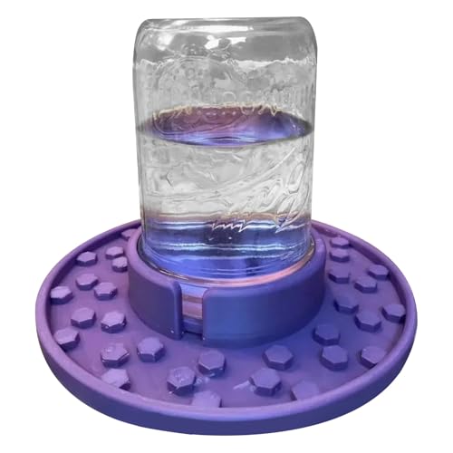 Masons Jar Bee Feeder - Bienenstockeingangsrein, Gartenfutterbecher | Effizienter Zuckersirupverteiler, zuverlässiger Wasserspender für Gartenhäuser, Honigbienen Ernährung, Bienenzuchtunterstützung von yztju